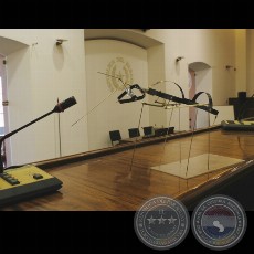 HORMIGAS, 2005 - Instalación-Intervención de CARLOS ALMEIDA